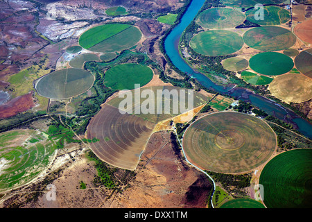 Kreisförmige Felder auf dem Orange River, Bewässerung großer Flächen in der Karoo Wüste, Gariepdam, Provinz Free State, Südafrika Stockfoto