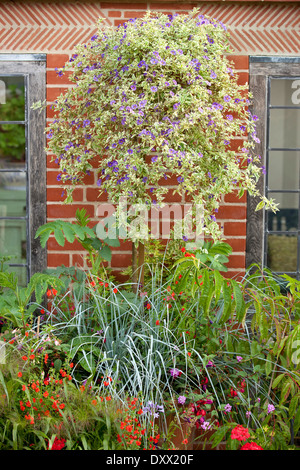 Mischbehälter Kombinationen und Display. August. Sommer. Stockfoto