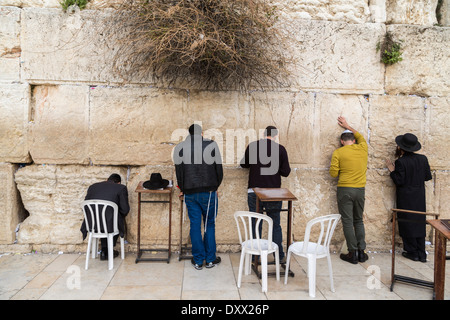 Orthodoxe Juden beten an der Klagemauer, Klagemauer, hintere Ansicht, Jerusalem, Israel Stockfoto