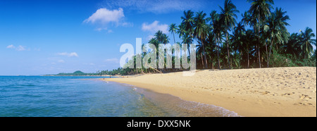 Strand mit Palmen, Mae Nam Beach, Ko Samui, Thailand Stockfoto