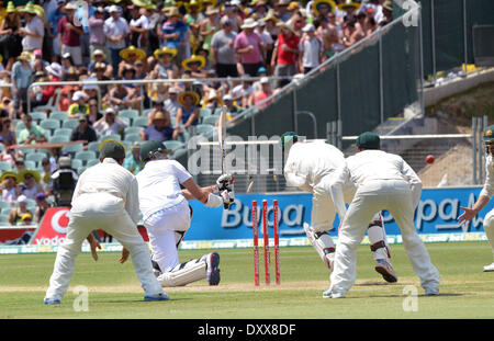 Morne Morkel Deutschland Vs. Südafrika Cricket Match statt in Adelaide Adelaide Australien - 24.11.12 Featuring: Morne Morkel wo: USA bei: 24. November 2012 Stockfoto