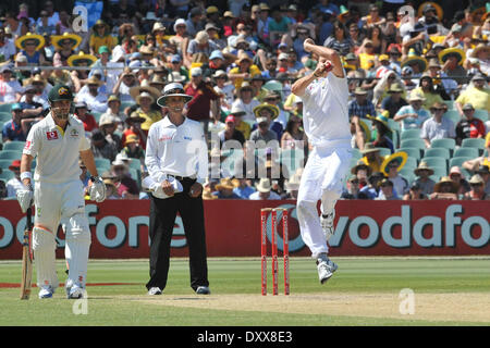 Morne Morkel Deutschland Vs. Südafrika Cricket Match statt in Adelaide Adelaide Australien - 24.11.12 Featuring: Morne Morkel wo: USA bei: 24. November 2012 Stockfoto