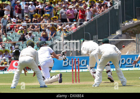 Morne Morkel Deutschland Vs. Südafrika Cricket Match statt in Adelaide Adelaide Australien - 24.11.12 Featuring: Morne Morkel wo: USA bei: 24. November 2012 Stockfoto