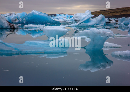 Eisberg treiben in Jökulsárlón Gletscher-Bucht Stockfoto