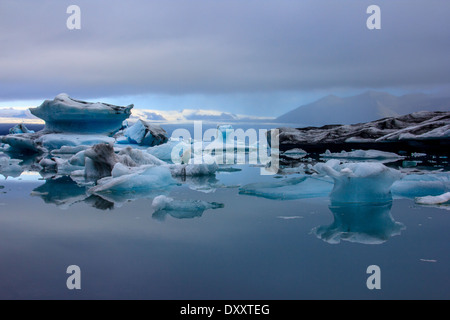 Eisberg treiben in Jökulsárlón Gletscher-Bucht Stockfoto