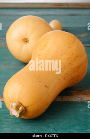 Butternut-Kürbis auf weißem Hintergrund Stockfoto