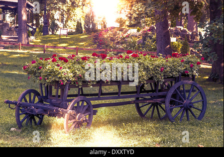 altes Rad Wagen mit Blumen im park Stockfoto