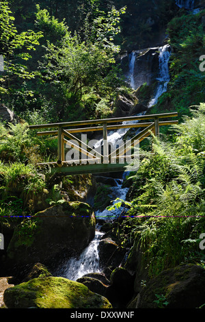 Deutschland, Baden-Württemberg, Schwarzwald, Gertelbachschlucht, Wasserfall, Wasserfall, Schwarzwald, Baden-Württemberg, Deutschland Stockfoto