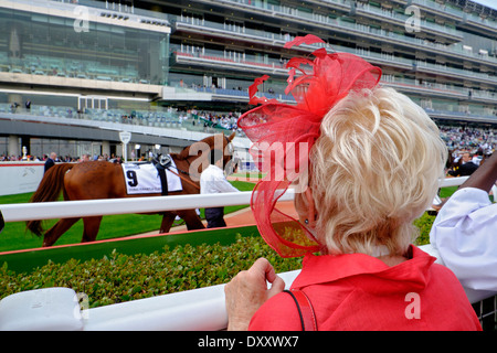 Dame mit Hut Blick auf Pferde beim Dubai World Cup Pferderennen Meisterschaft in Meydan Racecourse in Dubai Vereinigte Arabische Emirate Stockfoto