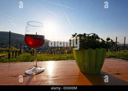 Deutschland, Baden-Württemberg, Kernen-Stetten, "Culinary Wine Trail", Weinfest, Wein, Sonnenuntergang Stockfoto