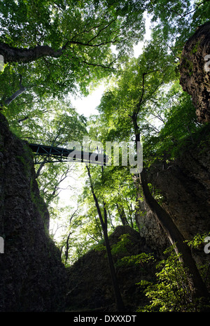 Deutschland, Baden-Wurttemberg, in der Nähe von Heubach Rosenstein Burgruinen, Brücke, Wald, Deutschland, Baden-Württemberg, Nahe Heubach, Stockfoto