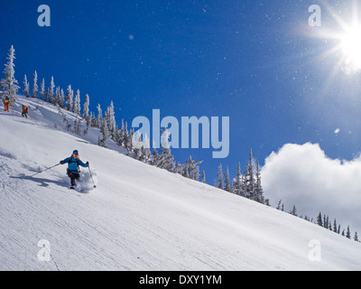 Back Country Ski Skifahren frischen Pulverschnee, North Cascades Mountains, Washington State, USA Stockfoto