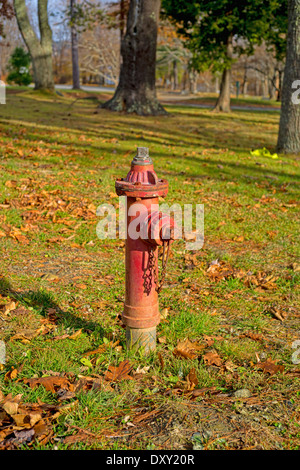 Ein sehr alter Hydranten umgeben von Herbst Blätter in einer Parklandschaft. Stockfoto