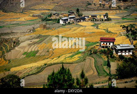 Terrassierte Felder und Häuser im Punakha Tal, Bhutan. Digital manipulierte Bild. Stockfoto