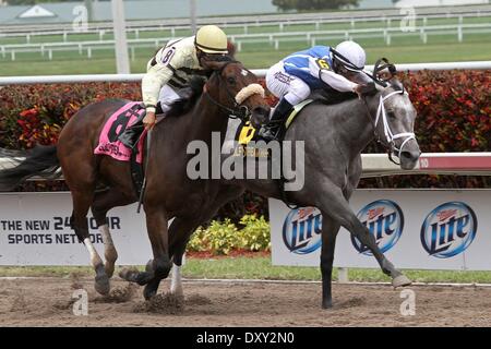 Hallandale Beach, Florida, USA. 29. März 2014. 29. März 2014: #6 In der Melodie (KY) mit Jockey Javier Castellano Duelle mit #8 Hausordnung (KY) mit Jockey Alex Solis gewinnt die G2 Gulfstream Eichen im Gulfstream Park in Hallandale Beach, FL. Liz Lamont/ESW/CSM/Alamy Live News Stockfoto