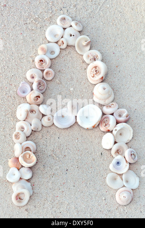 Shell-Alphabets am Sandstrand, Nahaufnahme Stockfoto