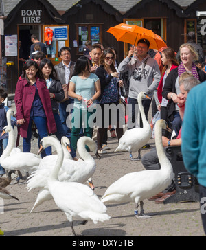 4. Juli 2013 UK Wetter Bowness auf Windermere Cumbria 0 Stockfoto