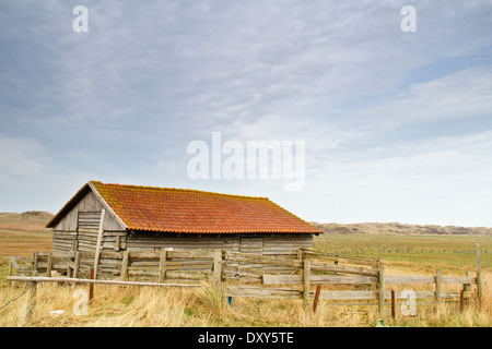 Kabine in Dünenlandschaft mit Dach der rostige Wellblech und Holzzaun Stockfoto