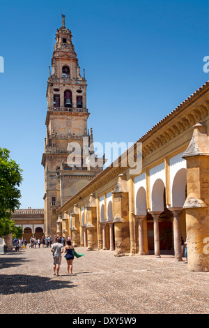 Cordoba, Andalcia, Spanien. Der Torre del Alminar (Glockenturm), das Minarett der Moschee (La Meziquita ersetzt. Stockfoto