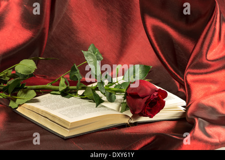 rote Rose liegt auf dem offenen Buch. satiniertes Burgund Hintergrund Stockfoto