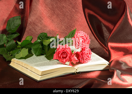 rosa Rose liegt auf dem offenen Buch. satiniertes Burgund Hintergrund Stockfoto