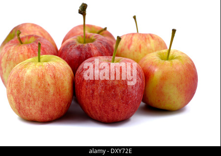 Gala Äpfel Studio weißen Bildhintergrund Stockfoto