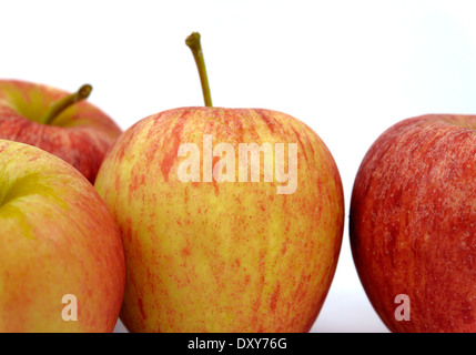 Gala Äpfel Studio weißen Bildhintergrund Stockfoto