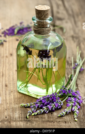 ätherisches Lavendelöl mit frischen Blumen Stockfoto