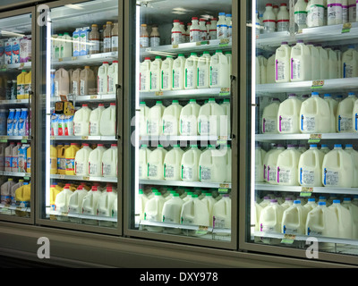 Liter Milch in der Molkerei Kühler, Publix Supermarkt in Tampa, Florida Stockfoto