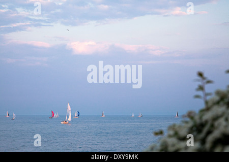 Segelboote am Lake Ontario an einem Sommernachmittag in Oakville, Ontario, Kanada. Das kleine schwarze Specs am Himmel sind Möwen. Stockfoto