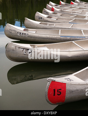 Kanus im Colter Bay Marina auf Jackson Lake im Grand Teton National Park. Stockfoto