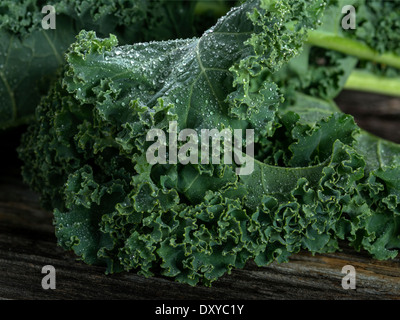 Bio Grünkohl mit Wassertropfen in Nahaufnahme Stockfoto