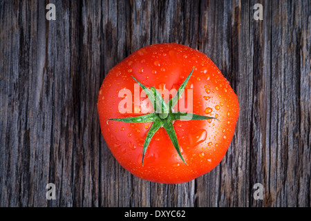 Bio Tomaten mit Wassertropfen Stockfoto