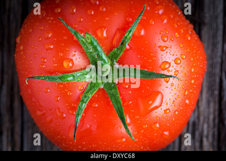 Bio Tomaten mit Wassertropfen in Nahaufnahme Stockfoto