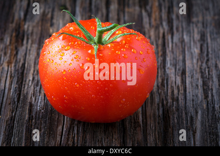 Bio Tomaten mit Wassertropfen in Nahaufnahme Stockfoto