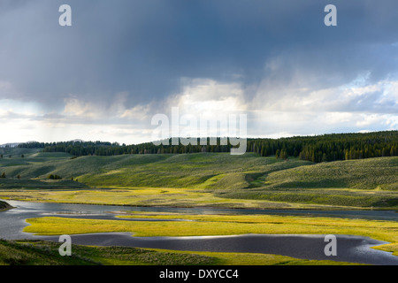 Hayden Valley im Yellowstone National Park bei Sonnenuntergang mit Sturm zu sammeln. Stockfoto