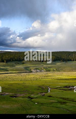 Hayden Valley im Yellowstone National Park bei Sonnenuntergang mit Sturm zu sammeln. Stockfoto