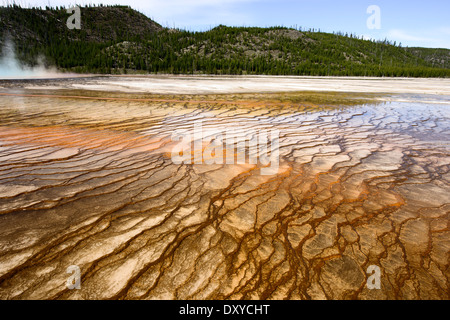 Grand Bildobjekte Frühling, Teil des Midway Geyser Basin im Yellowstone National Park. Stockfoto