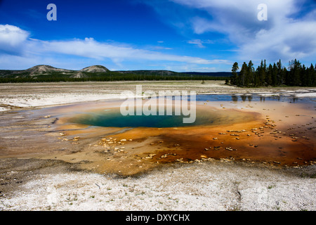Opal-Pool, Teil des Midway Geyser Basin im Yellowstone National Park. Stockfoto