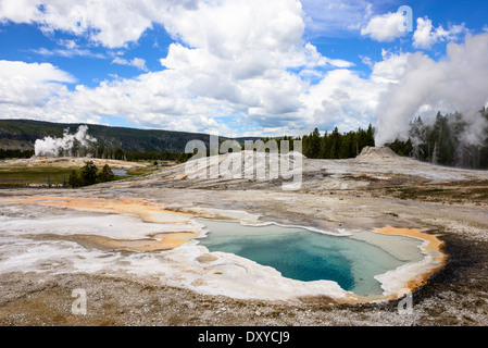 Herz-Frühling in Yellowstone des Upper Geyser Basin mit Lion Geysir Gruppe und Castle Geyser durchbrechenden im Hintergrund. Stockfoto