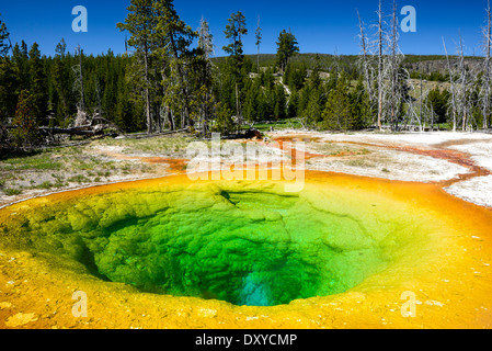 Morning Glory Pool Teil des Upper Geyser Basin, Yellowstone-Nationalpark. Stockfoto