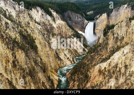 Die unteren Wasserfälle des Yellowstone River fließt durch den Grand Canyon des Yellowstone. Stockfoto