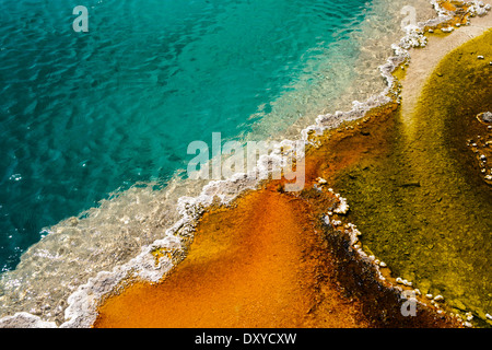 Detail der schwarz-Pool-Geysir in der unteren Gruppe der West Thumb Becken. Stockfoto