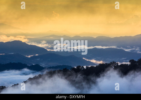 Landschaft Gebirge mit Nebel im Winter Saison gold hellen Hintergrund Stockfoto