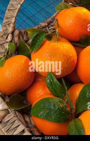 Mandarin-Orangen Stockfoto