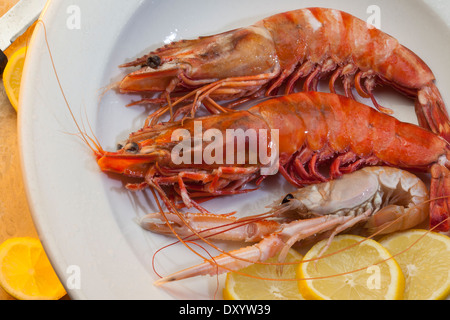 Fischgericht des Tigergarnelen und Scampi Stockfoto