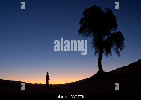 Einsamer Mann stehend neben dem Baum in der Wüste Stockfoto