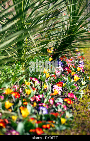 Natürliche Schönheit im Zusammenhang mit der innerhalb der Dingle öffentlichen Gärten in Shrewsbury, England Blumenbeet. Stockfoto