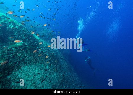 Taucher erkunden Fischschwarm, Dalmatien, Kroatien Stockfoto