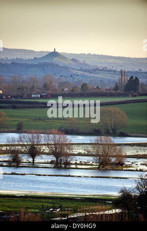 Blick auf Glastonbury Tor aus Graben prahlen über die überfluteten Felder der Somerset Levels UK Februar 2014 Stockfoto